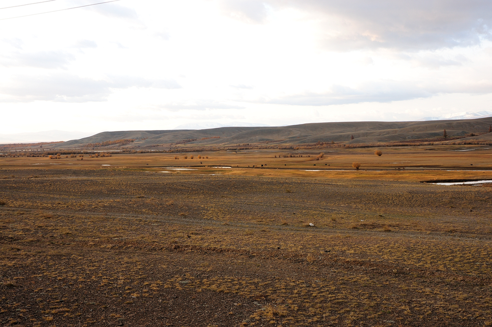 espagne steppe