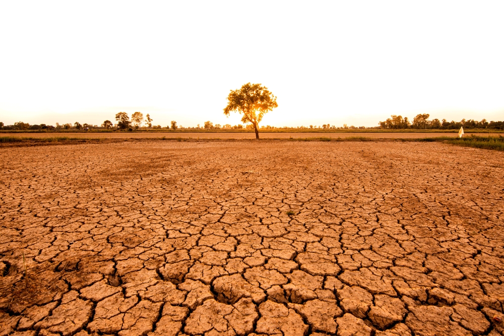 réchauffement climatique