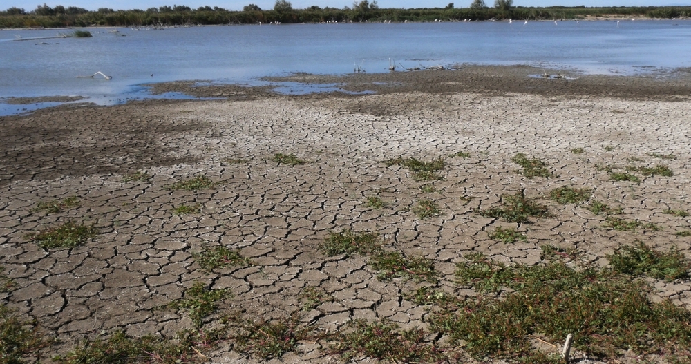 réchauffement climatique