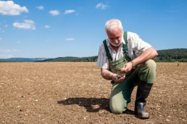 Réchauffement climatique : les agriculteurs craignent pour l’avenir de leur ferme