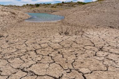 Dans un rapport publié le mardi 3 décembre lors de la COP16 à Riyad, l'ONU a exposé les coûts astronomiques des sécheresses mondiales et a urgé la mise en place de mesures significatives pour y remédier.