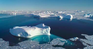 Banquise arctique : un record de baisse