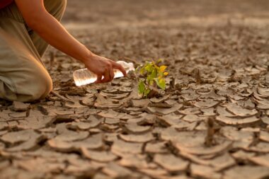 Climat : les experts doutent d'un possible retour à la normale