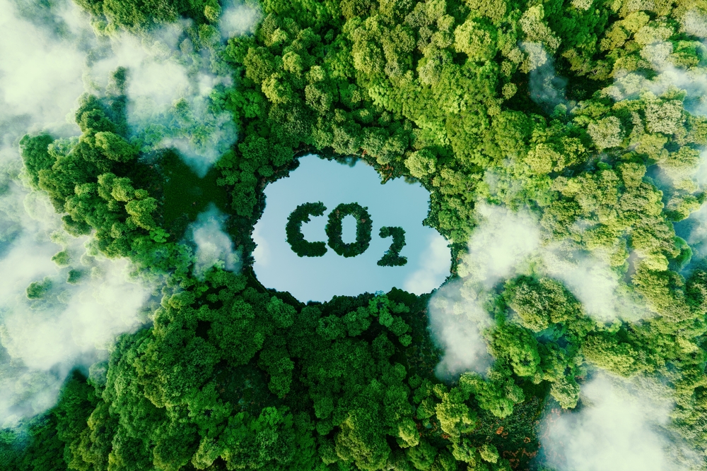 Méthane ou CO2 : quel gaz menace le plus le climat ?