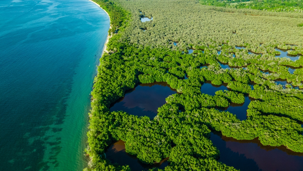 Biodiversité : la NASA veut l’observer depuis l’espace