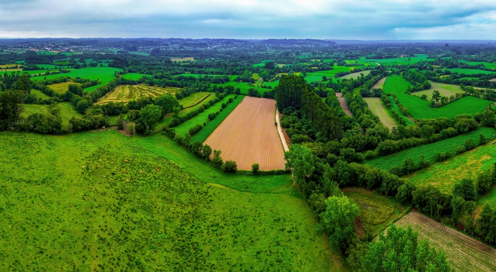 Biodiversité : les haies trop difficiles à gérer selon les agriculteurs