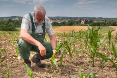 Changements climatiques et agriculture : quelles régions sont les plus menacées?